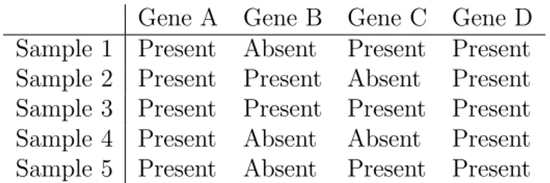 Table 4.3: Hypothetical example of the gene expression data used in this thesis. The donor samples are on the vertical axis and the genes on the horizontal