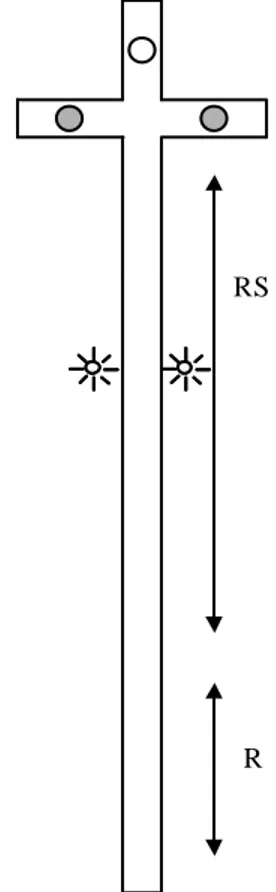 Figure 8 - The three-way road-sign problem: The arrow denoted with an R is the robots scope of  the initial random position of the robot