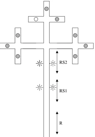 Figure 9 - The multiple stimuli road-sign problem: The arrow denoted with an R is the scope of  the initial random position of the robot