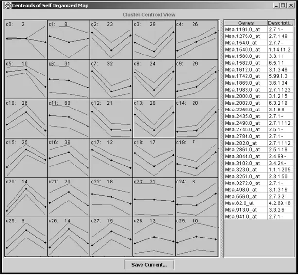 Figure 6. A 6X5 SOM has been trained. On the left, the clusters are visualised with