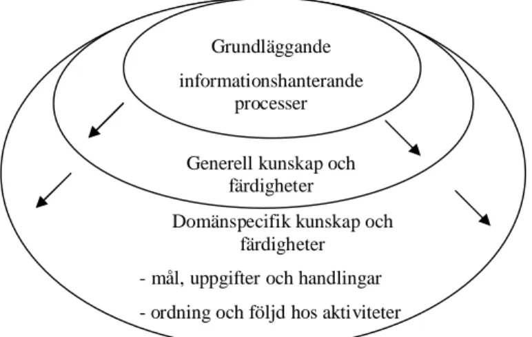Figur 1. De egenskaper hos användaren som är viktiga i användningen av program (efter Kujala &amp; Mäntylä,  2000, s.2)