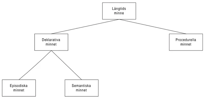 Figur 2.7, långtidsminnets moduler, Eysenck (1993).