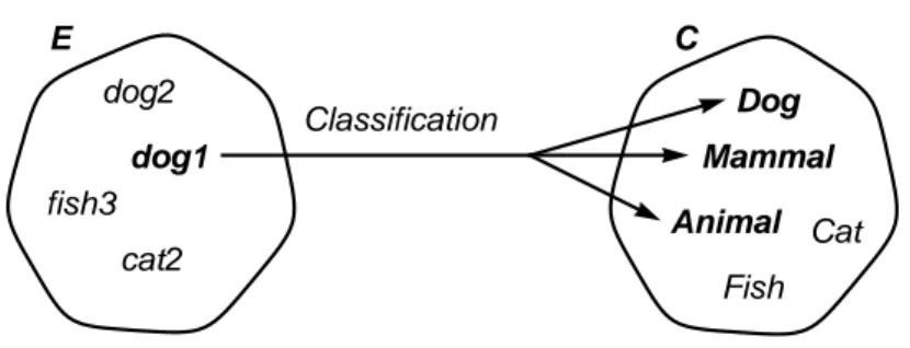 Figure 18: Classification of the dog1 exemplar should indicate three categories