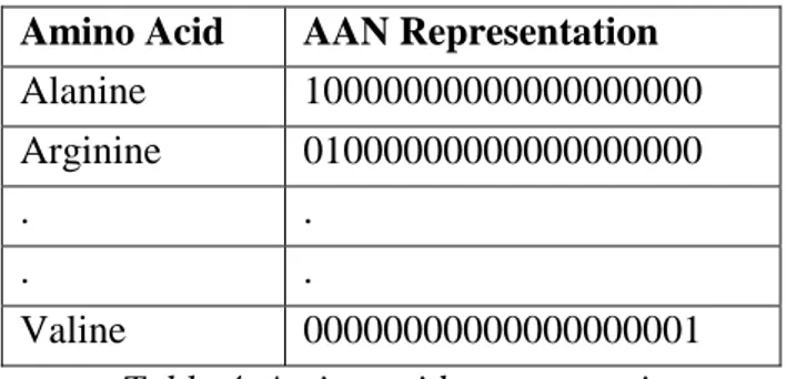 Table 4. Amino acid representation. 