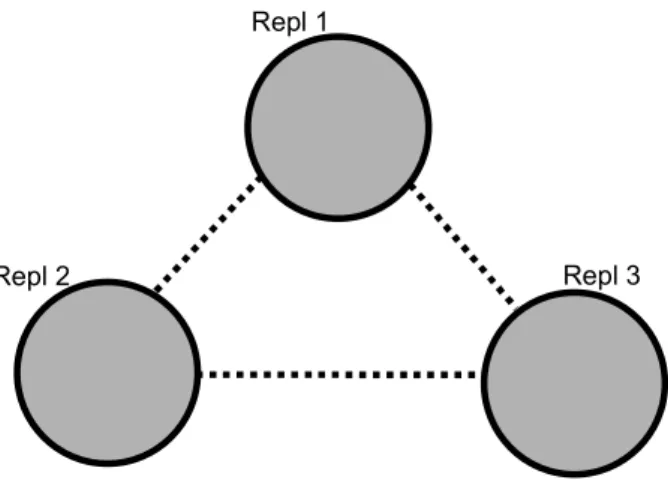 Figure 4. A replicated database with three replicas 