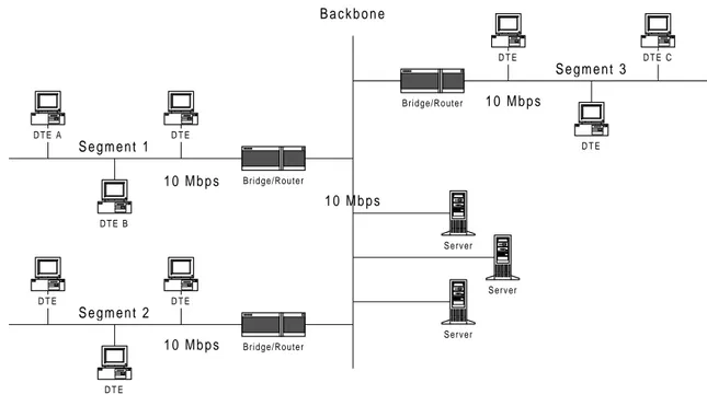 Figure 3.2 Centralized servers