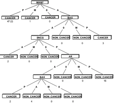 Figure 11. The pruned decision tree gained when the abscall values of 108 breast-