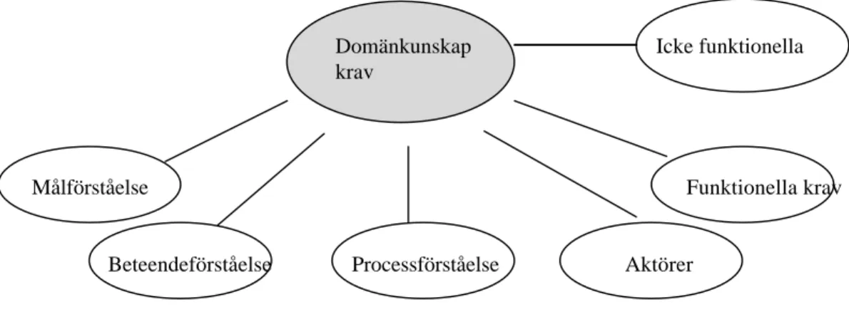 Figur 6: Forskarnas definition av begreppet domänkunskap.