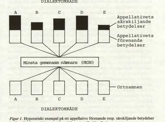 Figur 1.  Hypotetiskt exempel på ett appellativs förenande resp. särskiljande betydelser  i olika dialektområden samt betydelsernas roll vid tolkning av ortnamn
