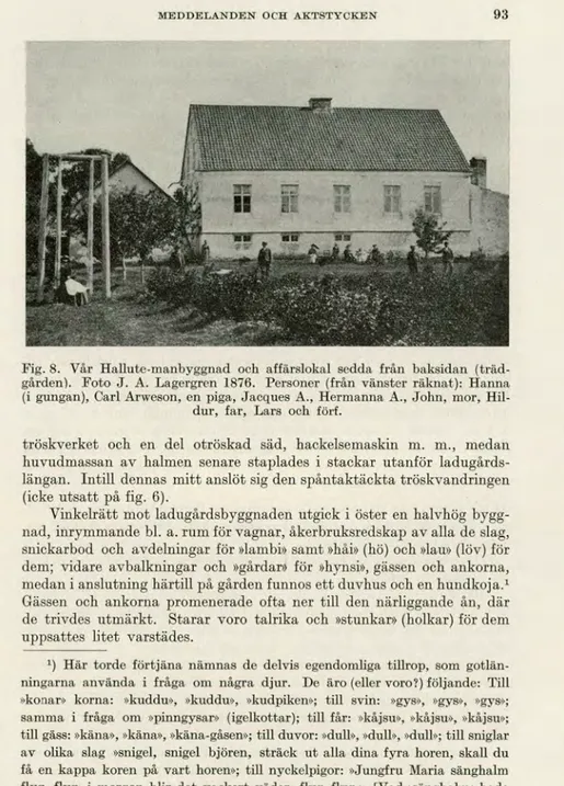 Fig. 8. Vår Hallute-manbyggnad och affärslokal sedda från baksidan (träd- (träd-gården)