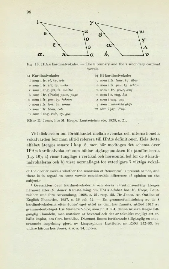 Fig. 16. IPA:s kardinalvokaler. — The 8 primary and the 7 secondary eardinal  vowels. 