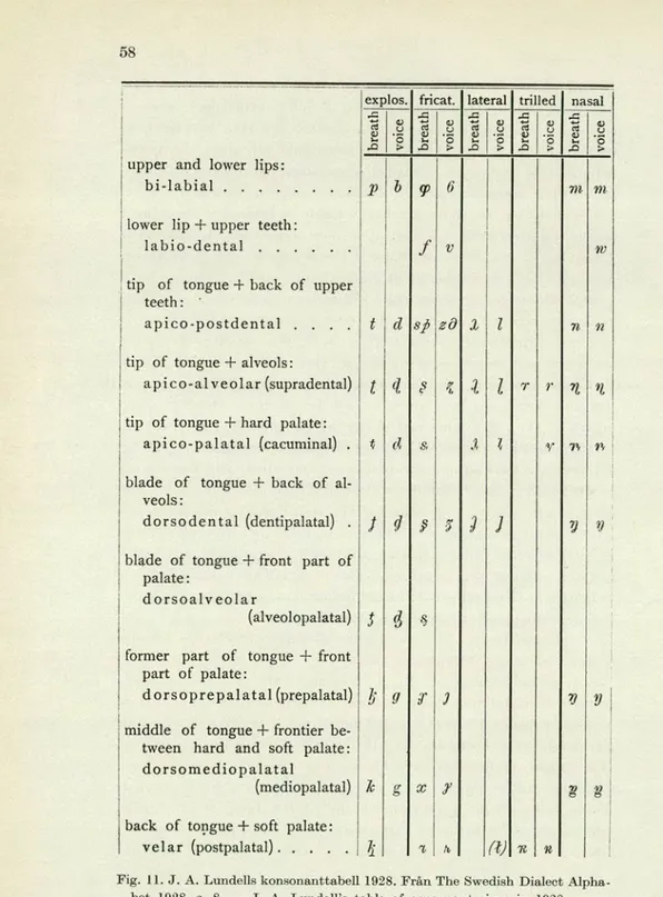 Fig. 11. J. A. Lundells konsonanttabell 1928. Från The Swedish Dialect Alpha- Alpha-bet 1928, s
