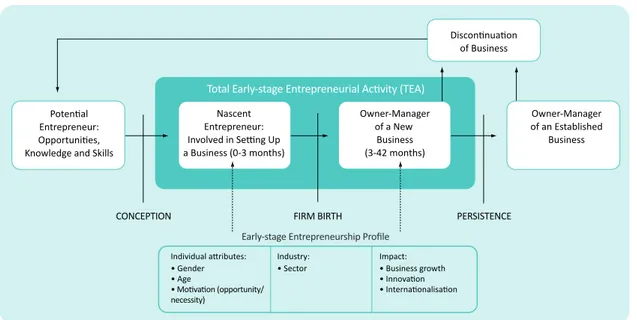 Figure 1.1: The entrepreneurial process