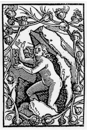 Fig. 5. Printer’s device of Johann Knoblauch. Woodcut, 1521.