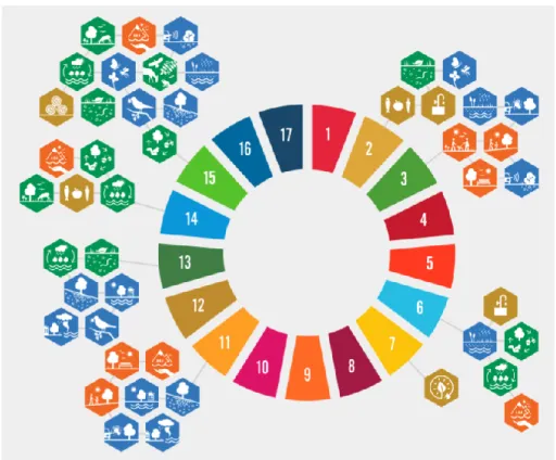 Figur 6. Flera av de 17 globala hållbarhetsmålen och de 169 delmålen i Agenda  2030 tar upp olika typer av ekosystemtjänster
