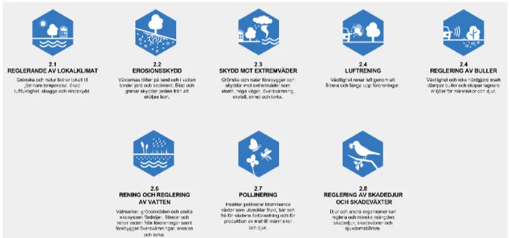 Figur 11Reglerande ekosystemtjänster har stor betydelse för klimatanpassning  och miljö i städer och tätorter