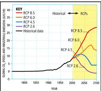Diagram över olika antaganden, RPC, om framtida strålningsnivåer i förhållande  till förindustriell nivå