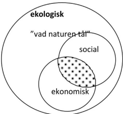 Figur 3 Ekologisk hållbarhet som ram 