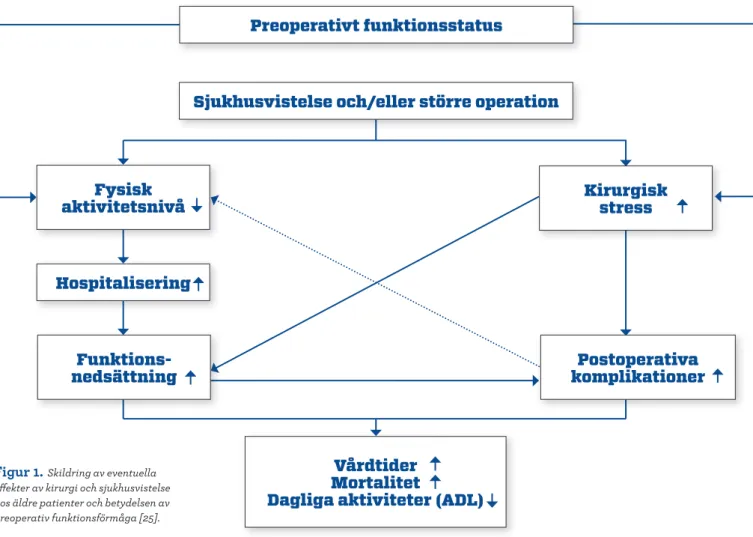 Figur 1.  Skildring av eventuella   effekter av kirurgi och sjukhusvistelse  hos äldre patienter och betydelsen av  preoperativ funktionsförmåga [25].