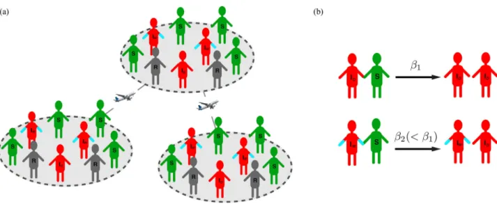 Fig. 1. Pictorial demonstration of our model. (a) Illustration of the SIR WD traveling population