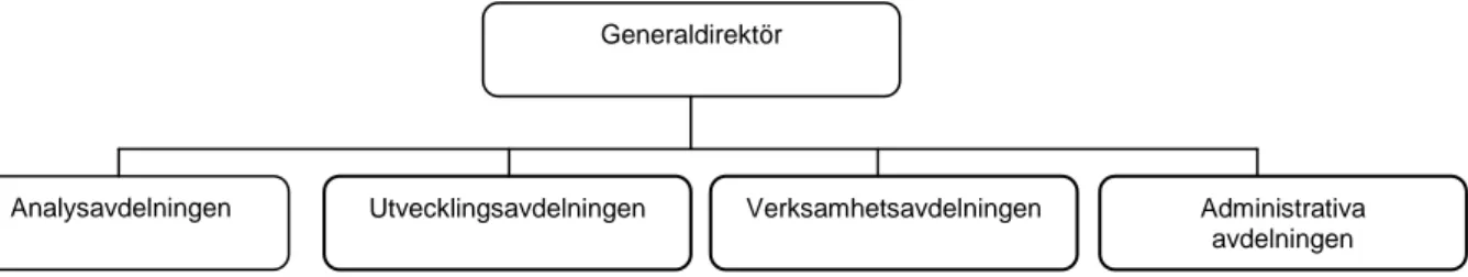 Figur 5.1  Organisation för en förstärkt analysfunktion 