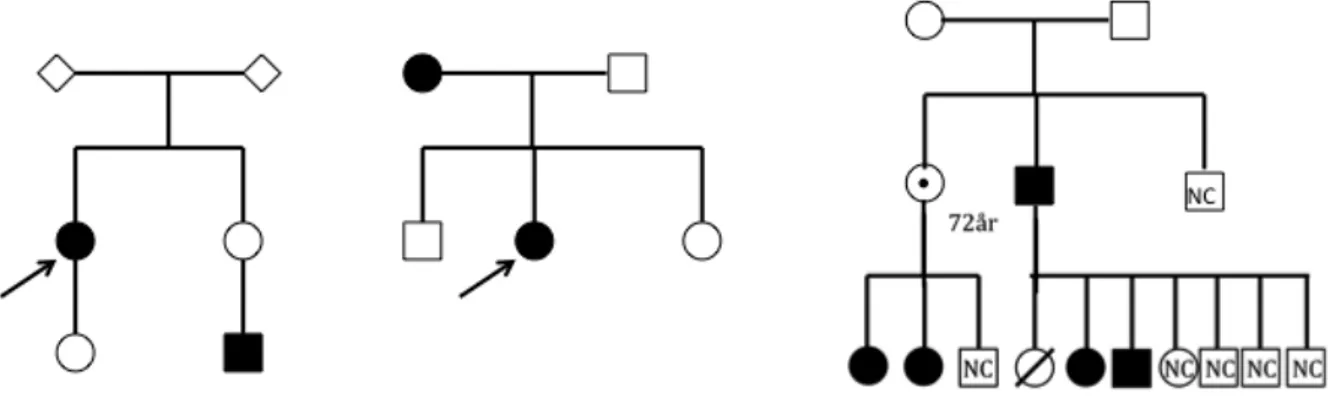 Figur 3: Exempel på familjer med SDHC anlag 
