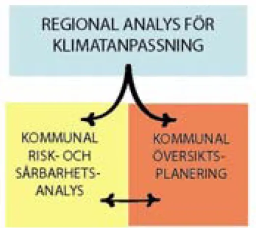 Figur 4 Regionala analyser för klimatanpassning kan ligga till grund för både  kommunens risk- och sårbarhetsanalyser och den kommunala översiktsplanen