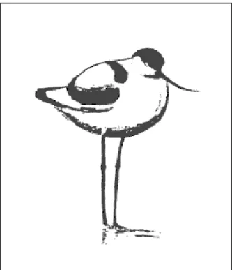 Figur 2.  Skärfläckan, Burlövs kommunfågel.