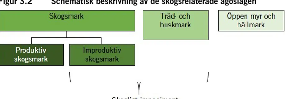 Figur 3.2  Schematisk beskrivning av de skogsrelaterade ägoslagen 