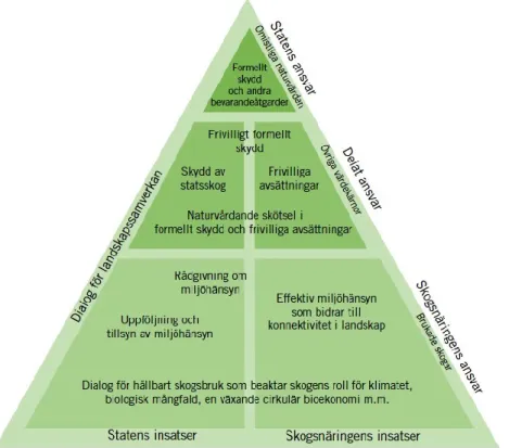 Figur 9.10  Ett handlingsprogram för biologisk mångfald i skogen 