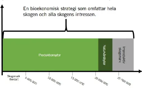 Figur 9.3  En växande cirkulär bioekonomi med bas i skogen 