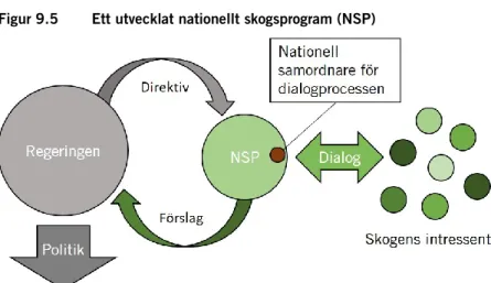 Figur 9.5  Ett utvecklat nationellt skogsprogram (NSP) 