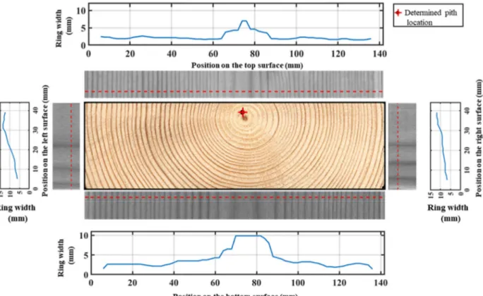 Figure 1: Determined pith location based on detected surface annual ring pattern (wavelength)  