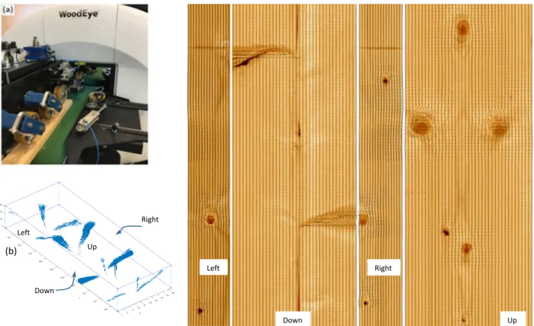 Figure 1: (a) A WoodEye 5 scanner. (b) 3D reconstruction of knots and (c) Modelling results of fibre direction on timber surfaces