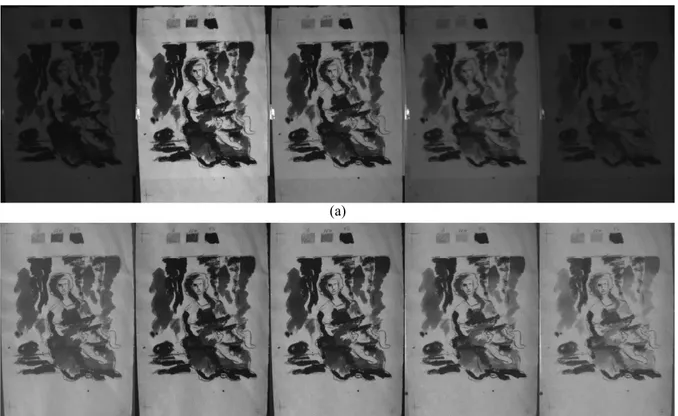 Figure 2: Five sample spectral channels of a 258-band multispectral image. Images from left to right  correspond to channels 31, 76, 100, 173 and 205 respectively