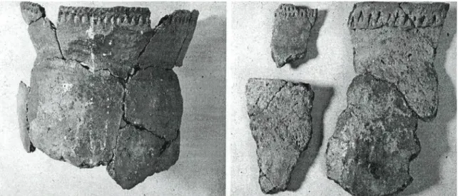 Fig. 5. Early TRB pottery (Oxie group) (After M Larsson 1984)