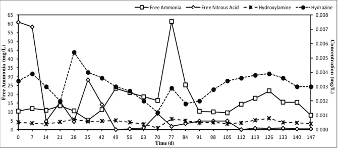 Figure  4.  Free ammonia, Free nitrous acid, Hydrazine and Hydroxylamine in SHARON- SHARON-ANAMMOX landfill bioreactor  