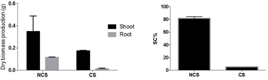 Figure 1: Survival capacity (SC) and dry biomass production of M. sativa after five months