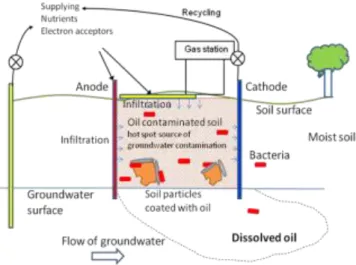 Figure 2: Bioremediation of oil contaminated soil with the help of electro-kinetics. Electrodes  and  perforated  tubes  were  installed  into  the  soil  vertically