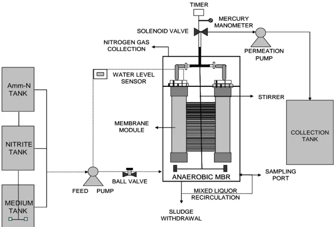 Figure 1 – Schematic of the experimental setup of the Anaerobic MBR (An MBR) 