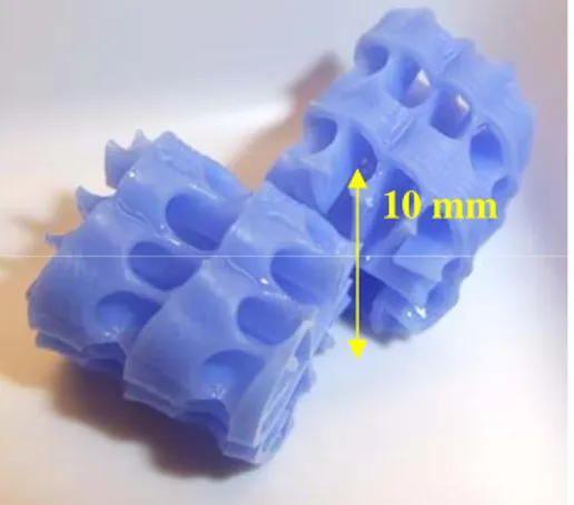 Figure 1. Two pieces of plastic  carrier material of RBBR with  optimized surface area