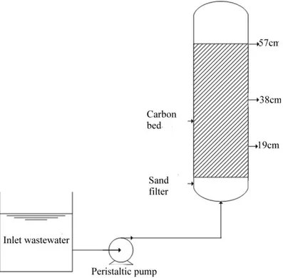 Figure 1 Schematic diagram of the packed-column used in the sorption studies.  