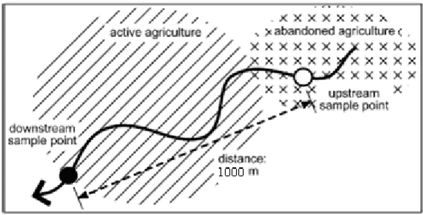 Figure 1. Schematic diagram of the sampling strategy in Keselian River 