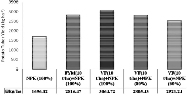 Figure 3. Effect of vermicomposted FA on yield of potato under integrated nutrient  management  