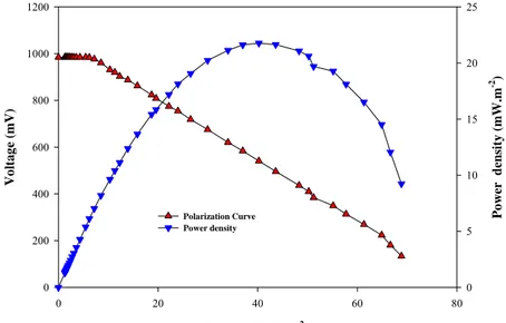 Figure 4: Polarization curve and power density at desired concentration of potassium  permanganate 