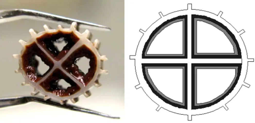 Figure 2. Plastic carrier with nitritation-anammox bacterial culture. Photo (to the left) and  schematic drawing (to the right)