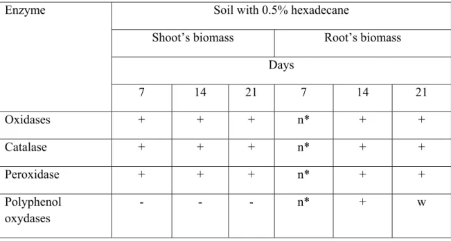 Table 2.  Enzymatic activities of the rye shoot’s and root’s biomass in soil with  hexadecane