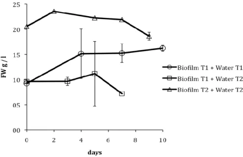 Figure 2. Growth curve (in g of fresh weight per litre) of the algae for the treatments were  water from the treatments tanks were added (i.e., Biofilm T1 + water T1, Biofilm T1 + water  T2, Biofilm T2 + water T2)