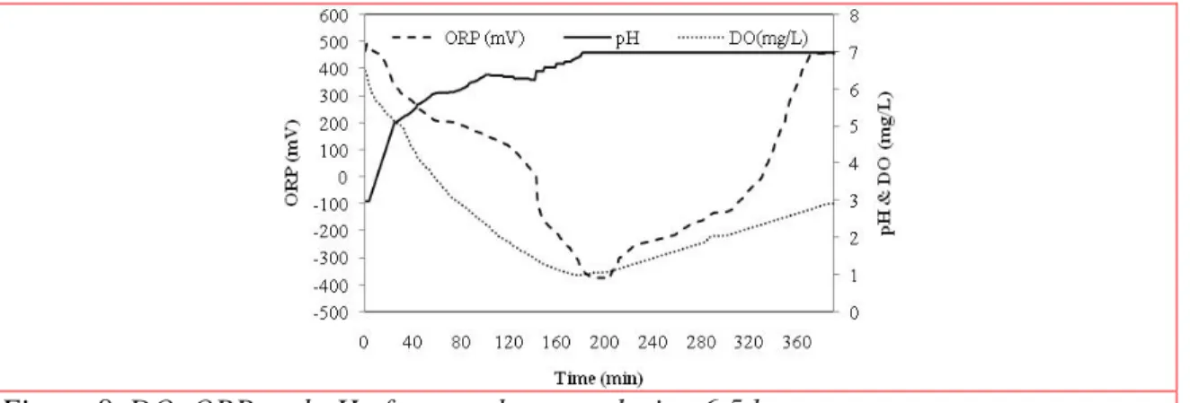 Figure 8. DO, ORP and pH of removal system during 6.5 hr 