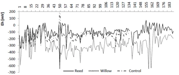 Figure 2. Redox changes over time in reed (A), willow (B) and control (C) tanks 